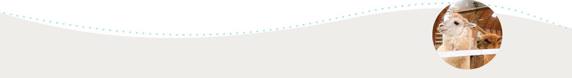 raising_bf